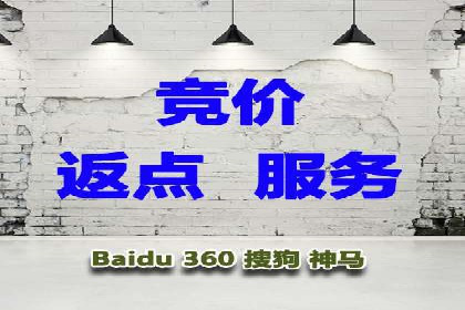 sem竞价托管代运营的五大经典案例